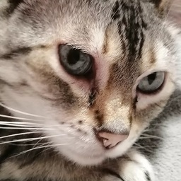 Portfolio photo for Pearl